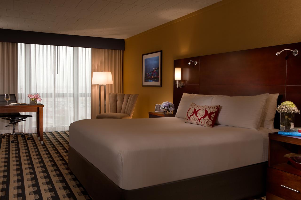 Millennium Buffalo - thumb 13