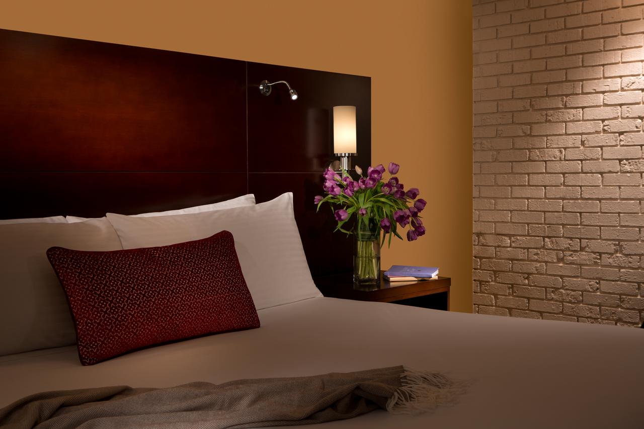 Millennium Buffalo - thumb 12