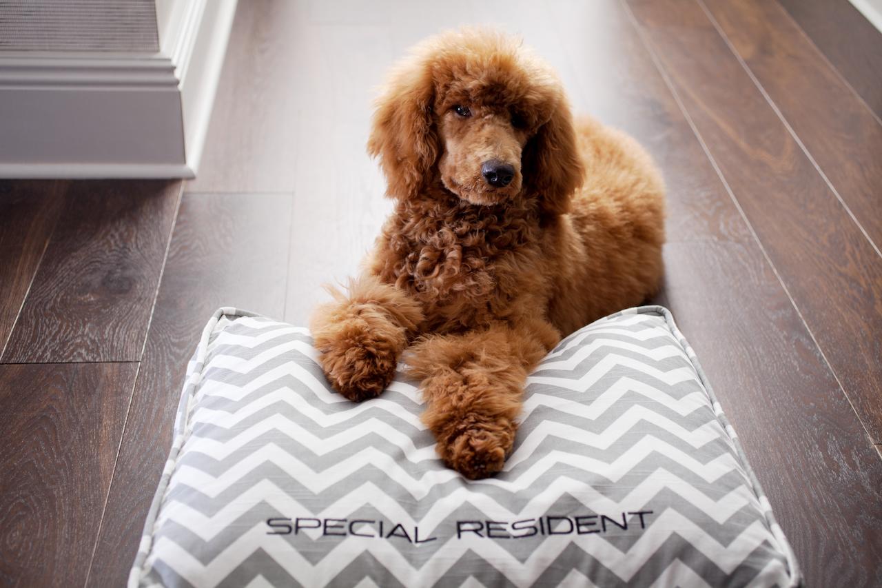 WestHouse Hotel New York - thumb 35