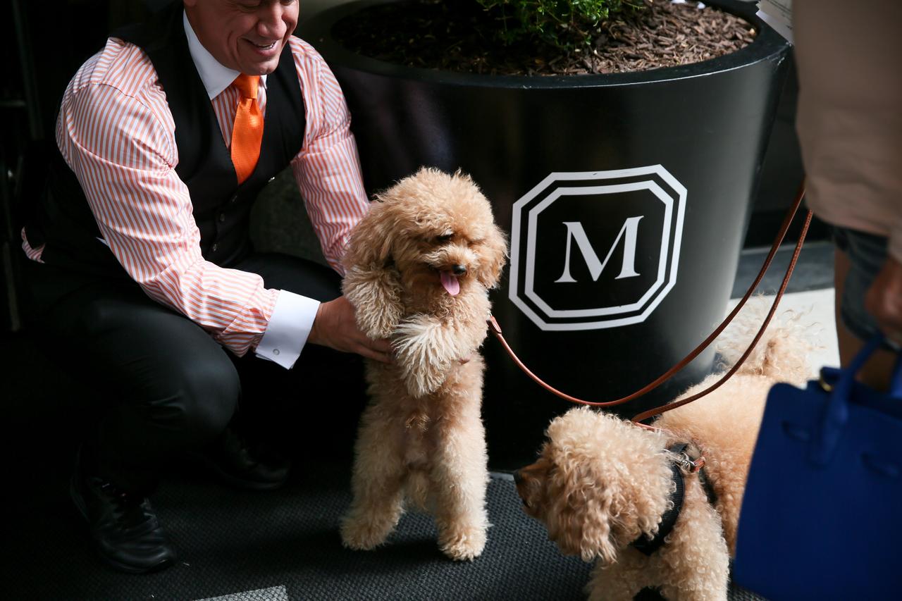 The Mark New York - thumb 5