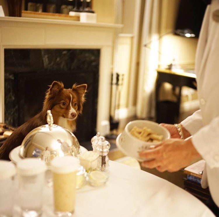 Lowell Hotel - thumb 1