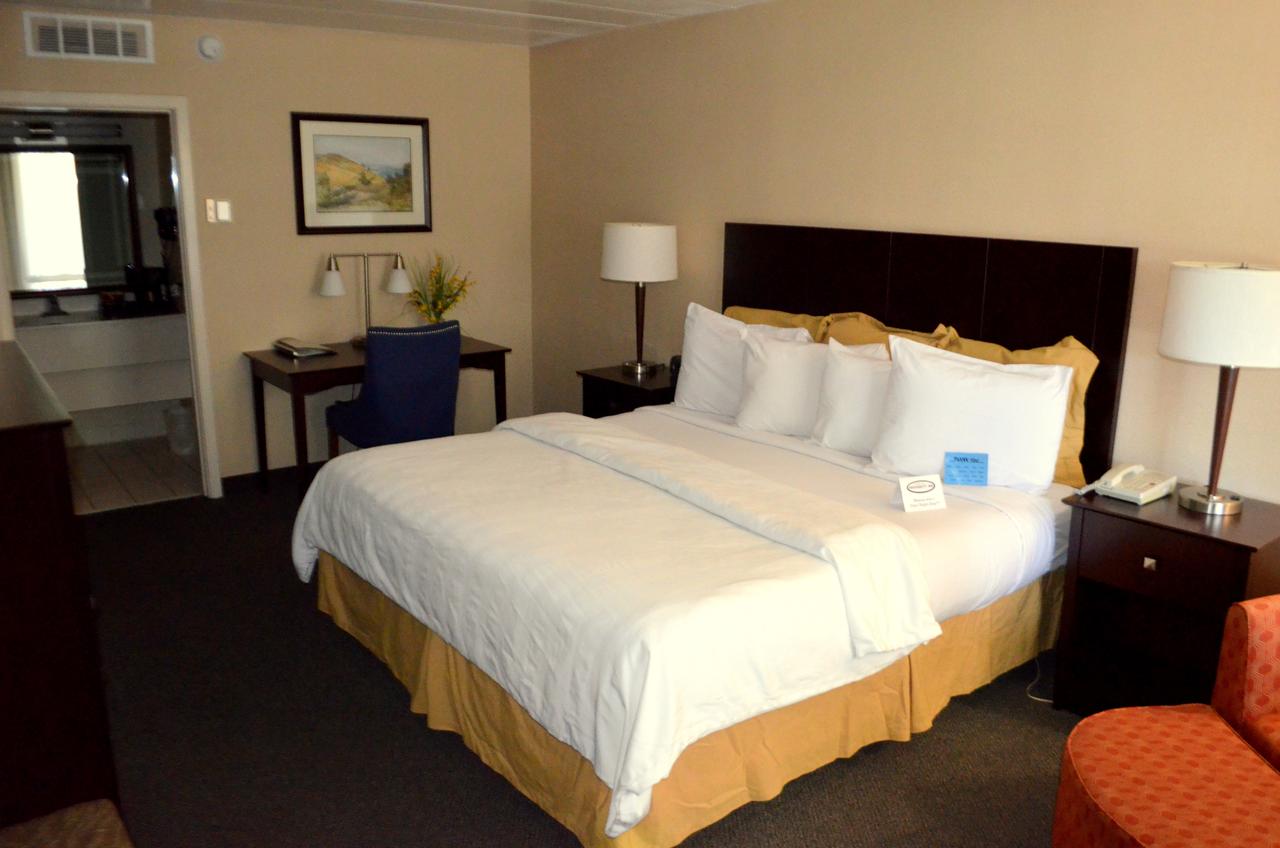 Chapel Hill University Inn - thumb 18