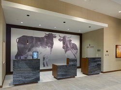 Durham Marriott City Center