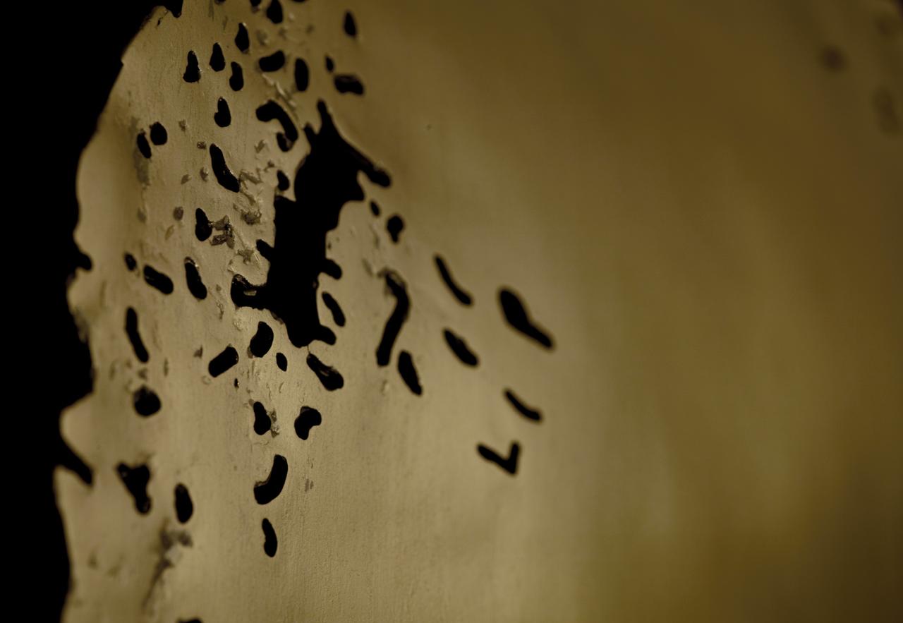 Omni Charlotte Hotel - thumb 25