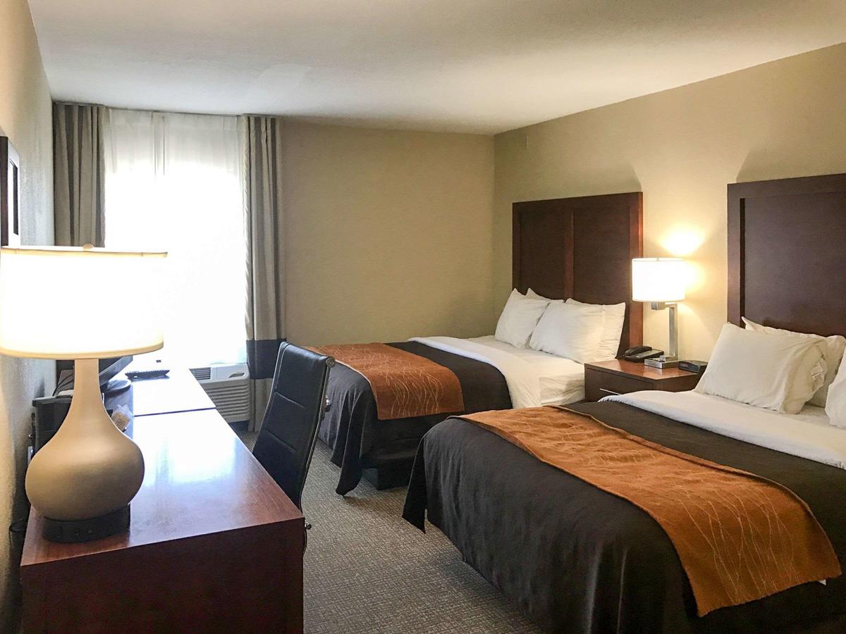 Comfort Inn Clemson - University Area - thumb 18