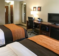 Comfort Inn Clemson - University Area - Accommodation Michigan