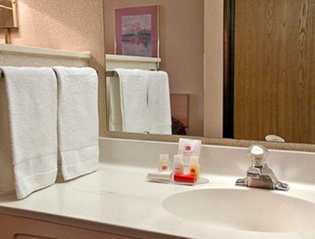 Ramada By Wyndham Sioux Falls - thumb 6