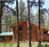 Desperado - Accommodation Michigan