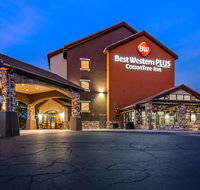 Best Western Plus Cotton Tree Inn - Accommodation Michigan