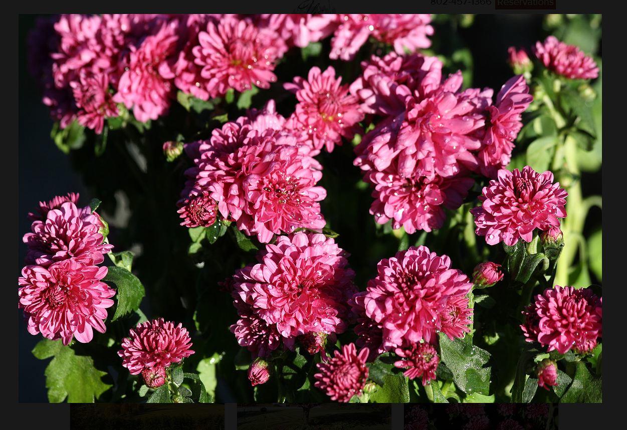 Braeside Lodging - thumb 5