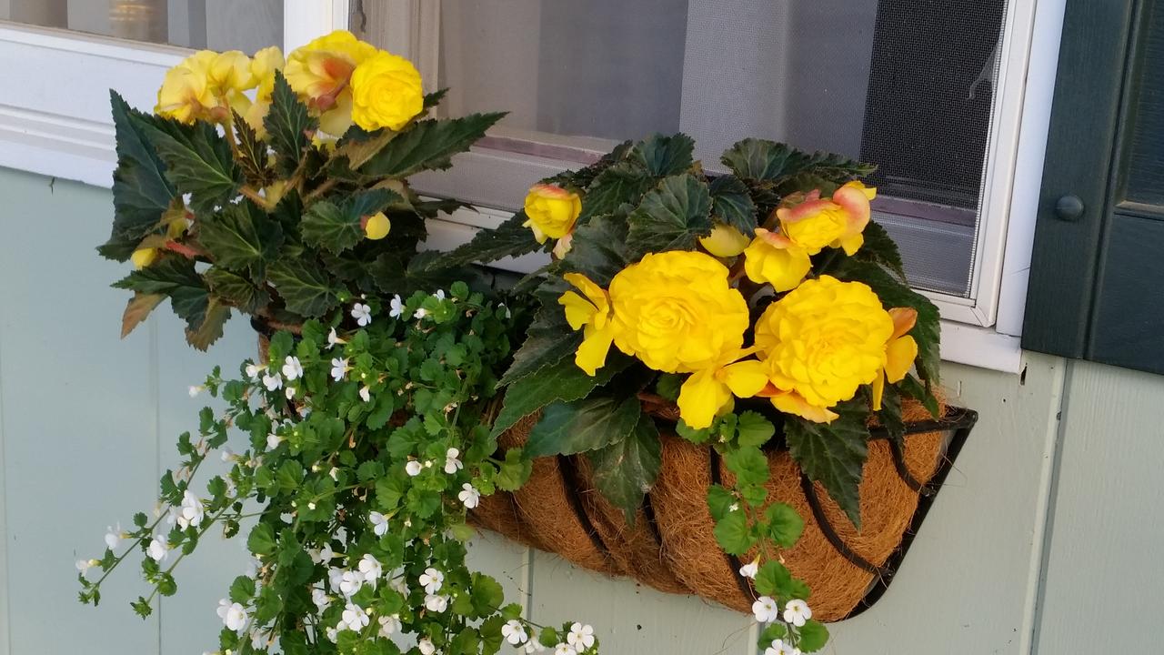 Braeside Lodging - thumb 7