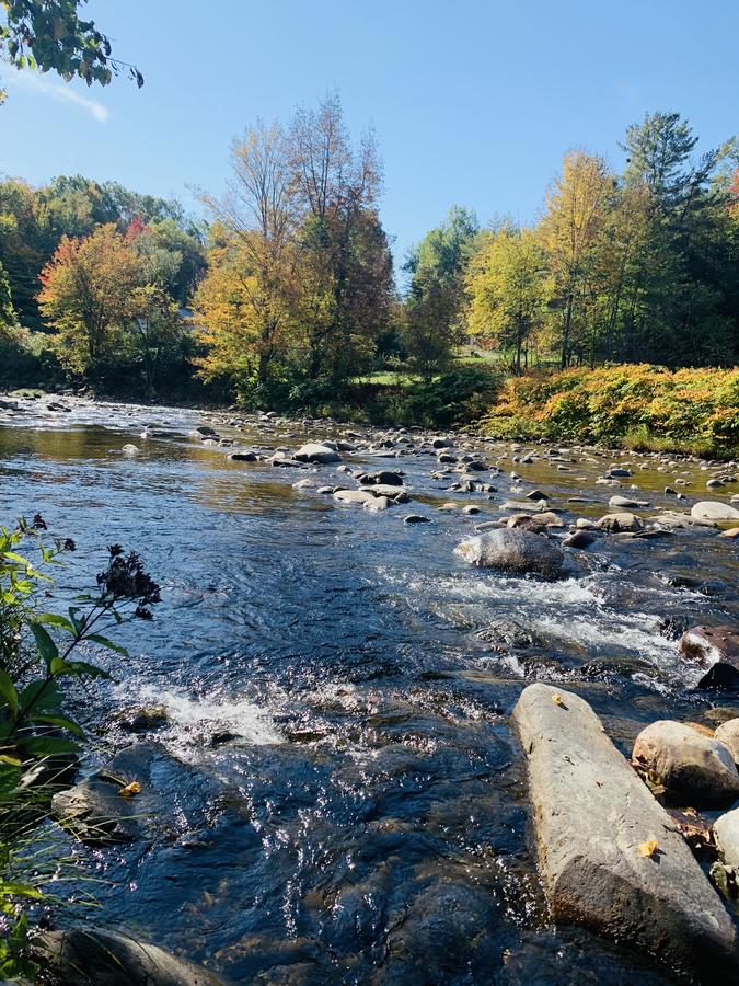 Woodbridge Inn Bed & Breakfast - thumb 7