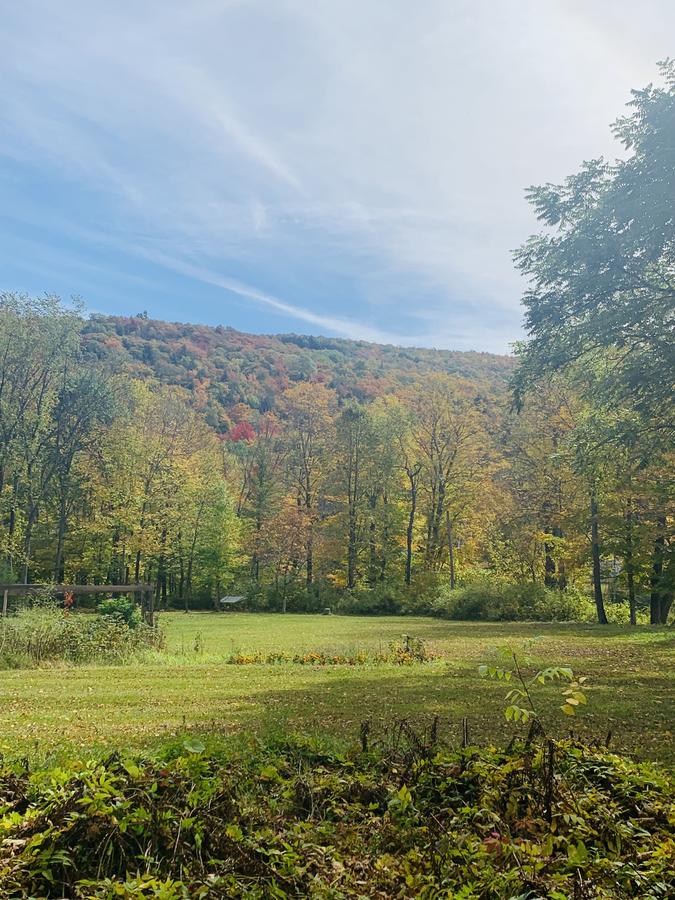 The Woodbridge - thumb 2