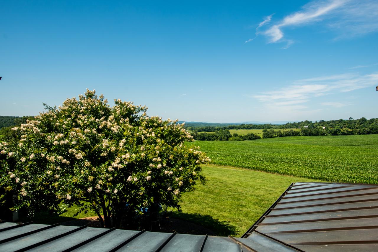 Round Hill Inn - thumb 19