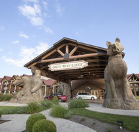 Great Wolf Lodge Williamsburg - Accommodation Michigan