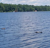 Gunlock Lake Cabin - Accommodation Michigan