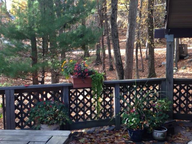 Inn Harmony - thumb 1