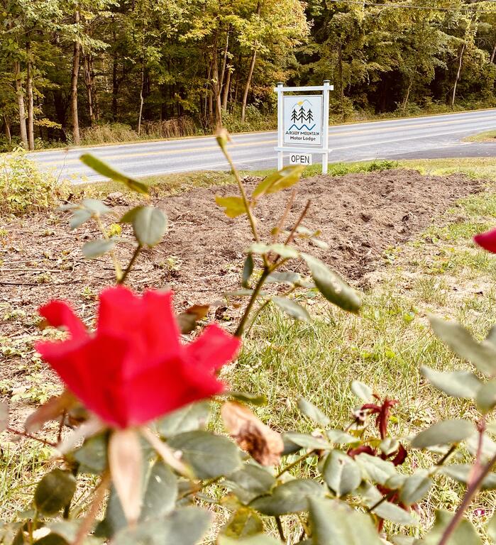 Arcady Mountain Motor Lodge - thumb 3