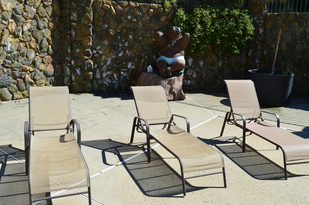 Cedar Lodge - thumb 1