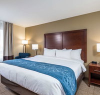 Comfort Inn - Accommodation Michigan