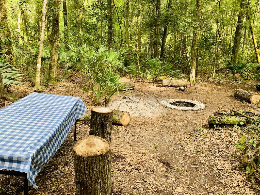 Comfy Camping At The Palms - thumb 2