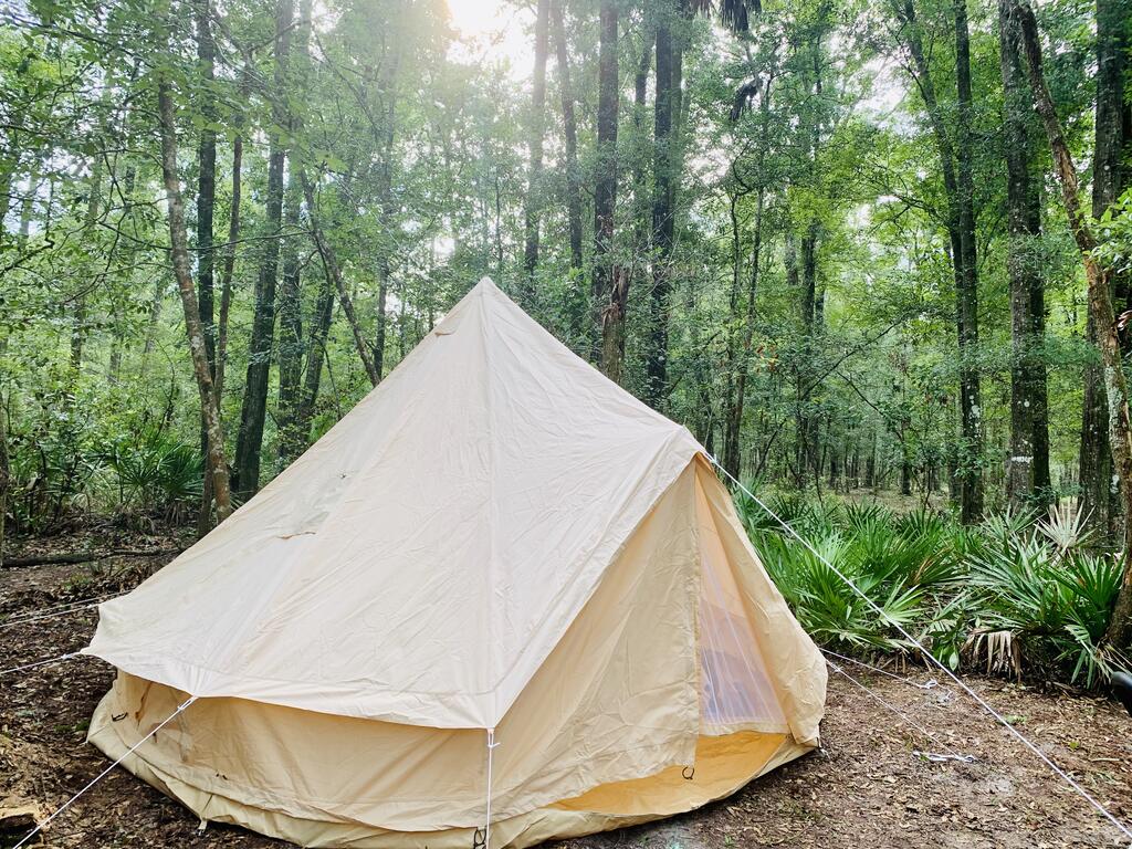 Comfy Camping At The Palms - thumb 0