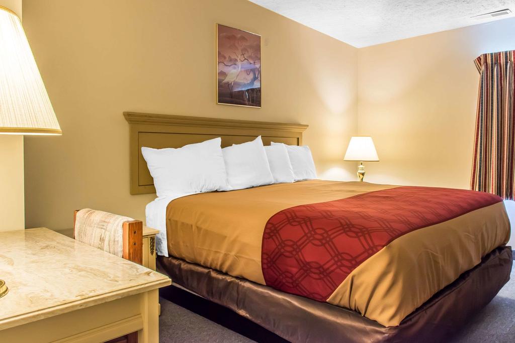 Econo Lodge Inn & Suites Pocono Near Lake Harmony - thumb 3