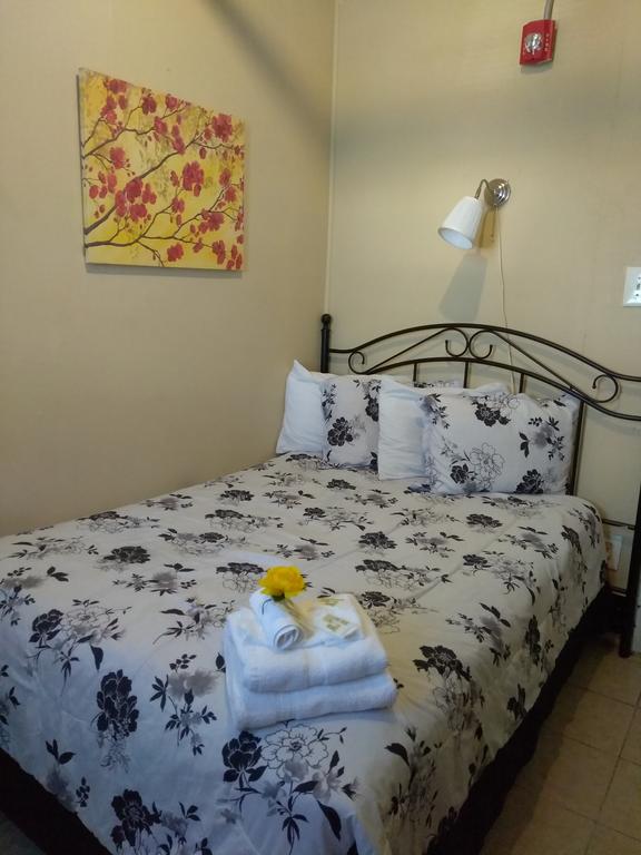 Neptune Hotel - thumb 3