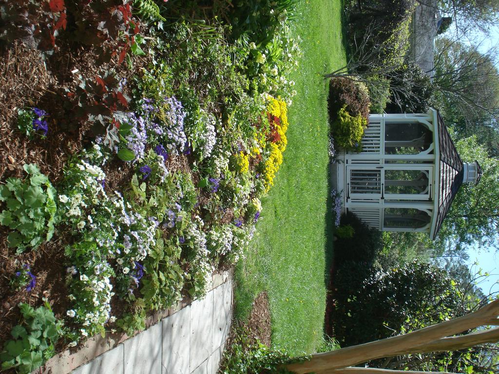 Newport House Bed & Breakfast - thumb 3