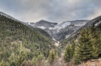 Book Kellogg Hotels, Accommodation Michigan Accommodation Michigan