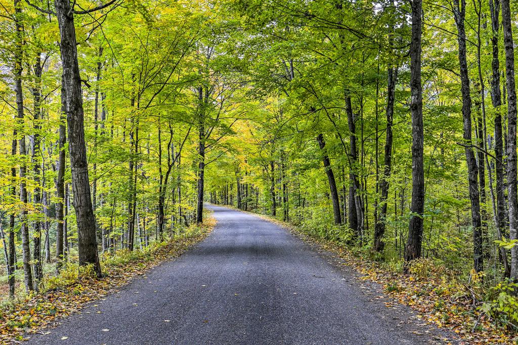 Secluded Lake Cottage With Private Dock&Serene Views - thumb 0