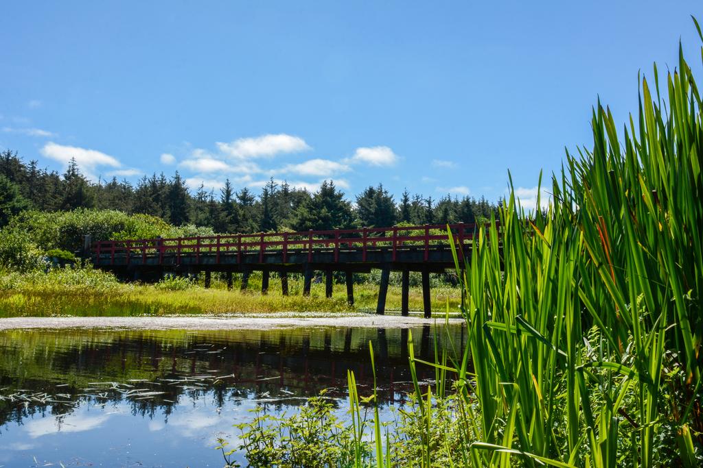 Surfcrest Vacation Condominiums, A VRI Resort - thumb 0