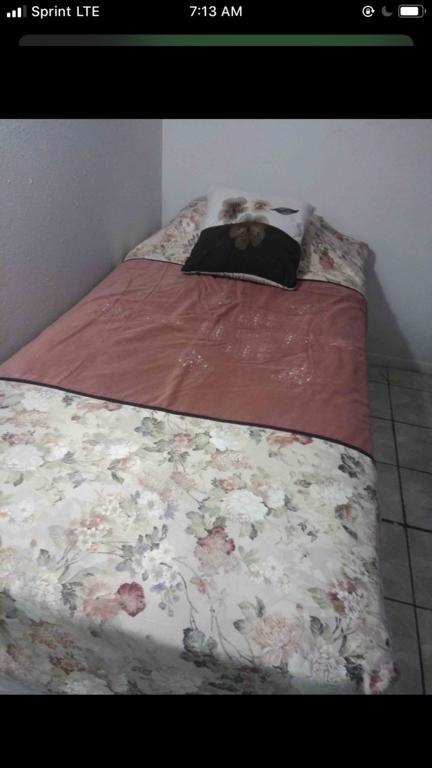 Susies Suites-Park - thumb 3