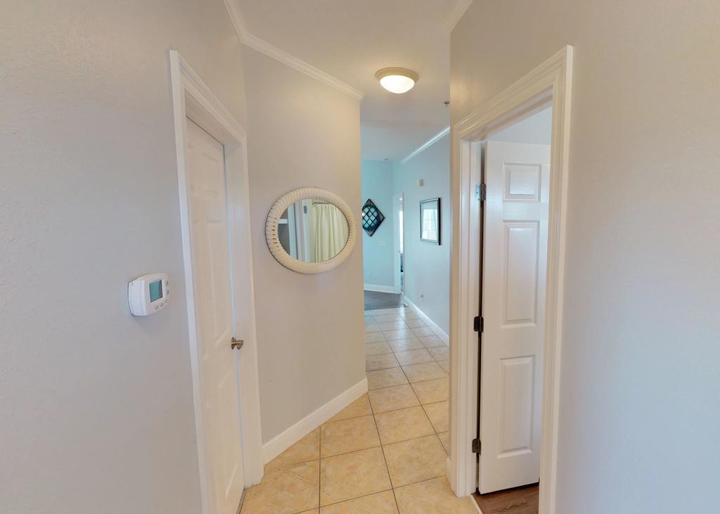 Turtle Trot - thumb 3