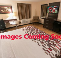 Red Roof Inn PLUS Tuscaloosa - University - Accommodation Michigan