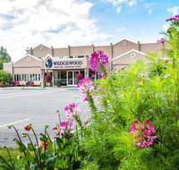 Wedgewood Resort - Accommodation Michigan