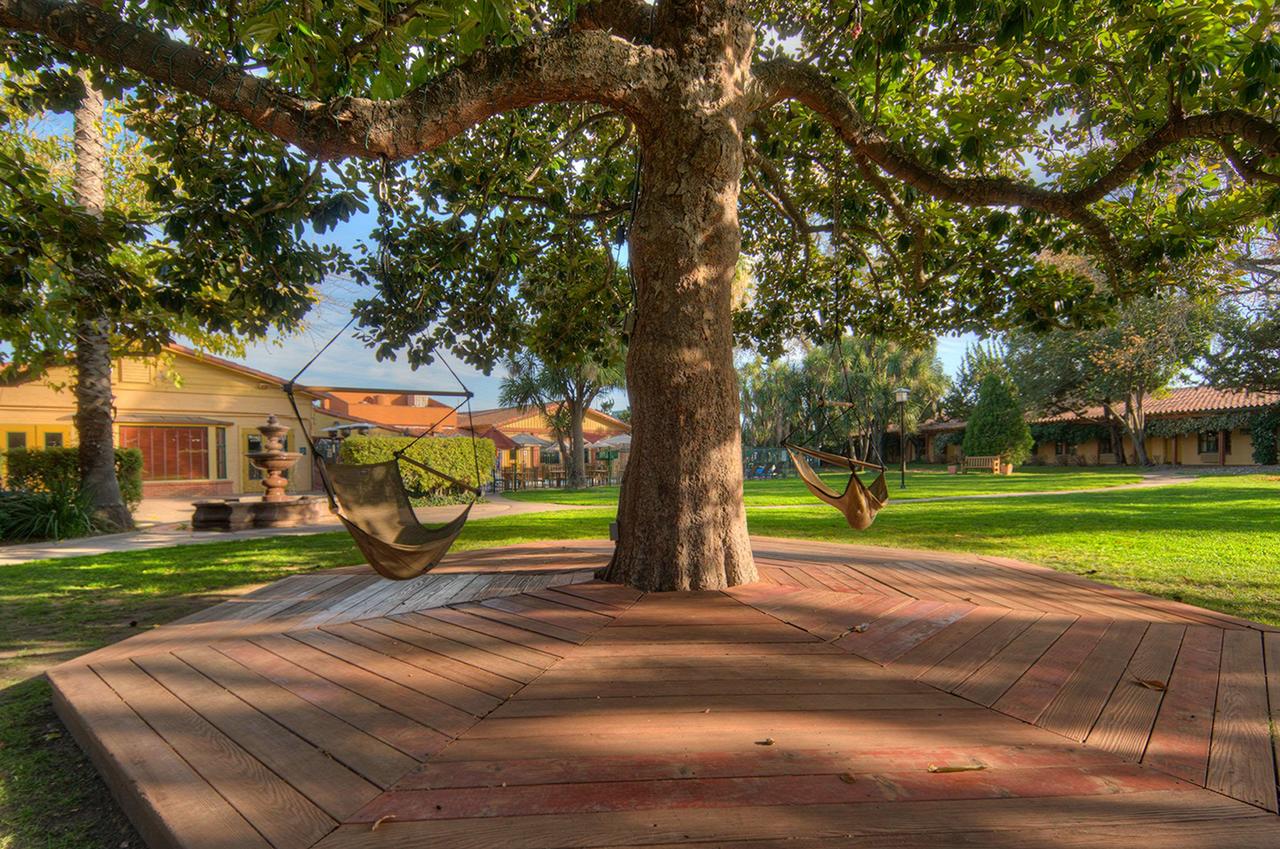 Inn Marin And Suites, An Ascend Hotel Collection Member - thumb 26