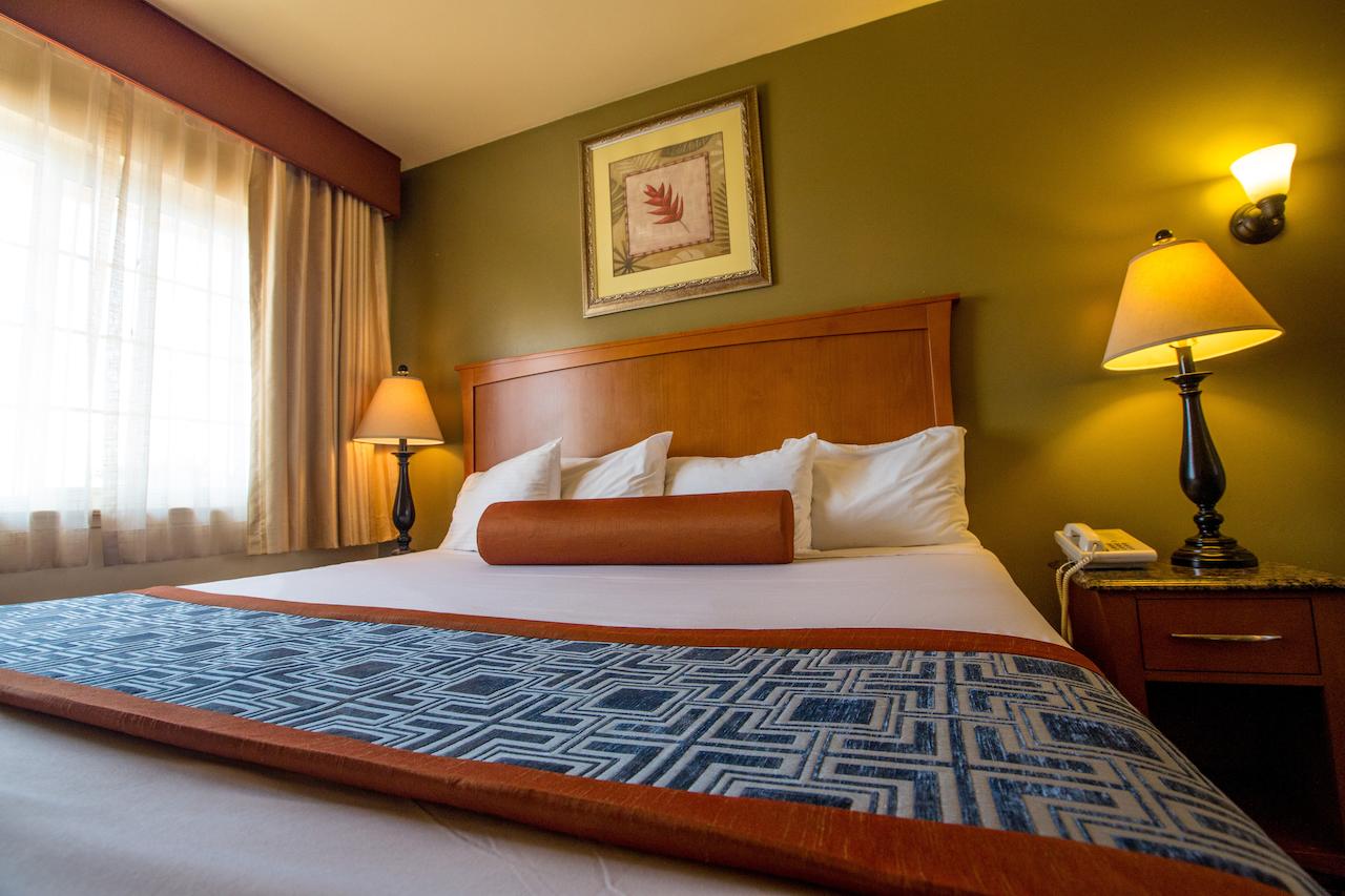 Beachwalker Inn & Suites - thumb 20