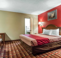 Red Roof Inn Bishop - Accommodation Michigan