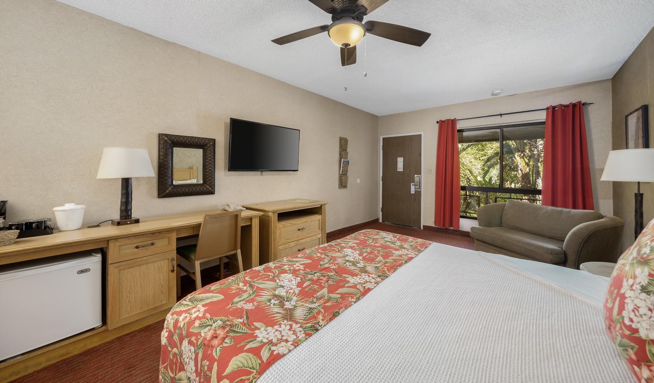 Caliente Tropics - thumb 31