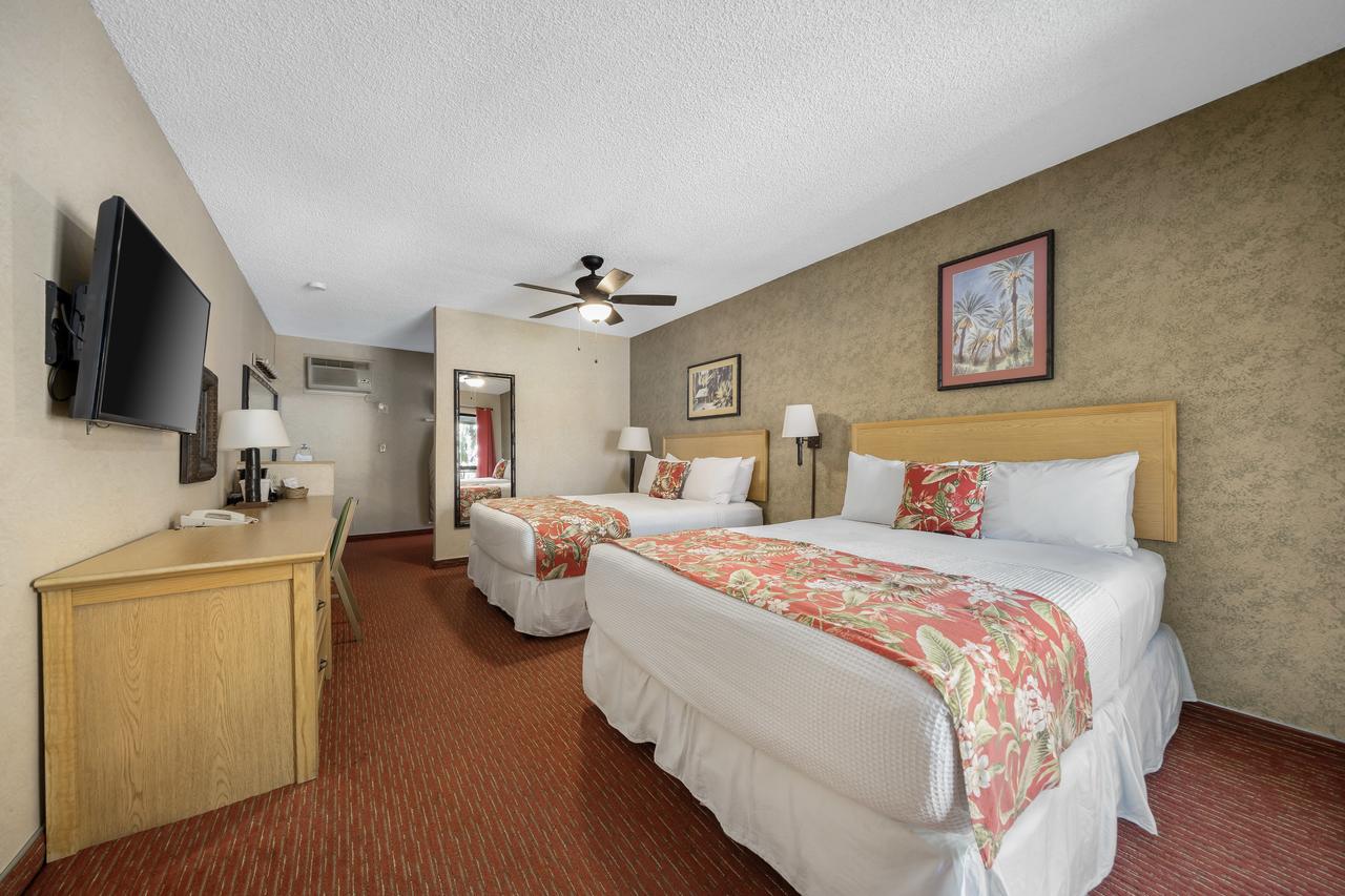 Caliente Tropics - thumb 35