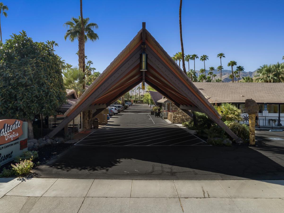 Caliente Tropics - thumb 25