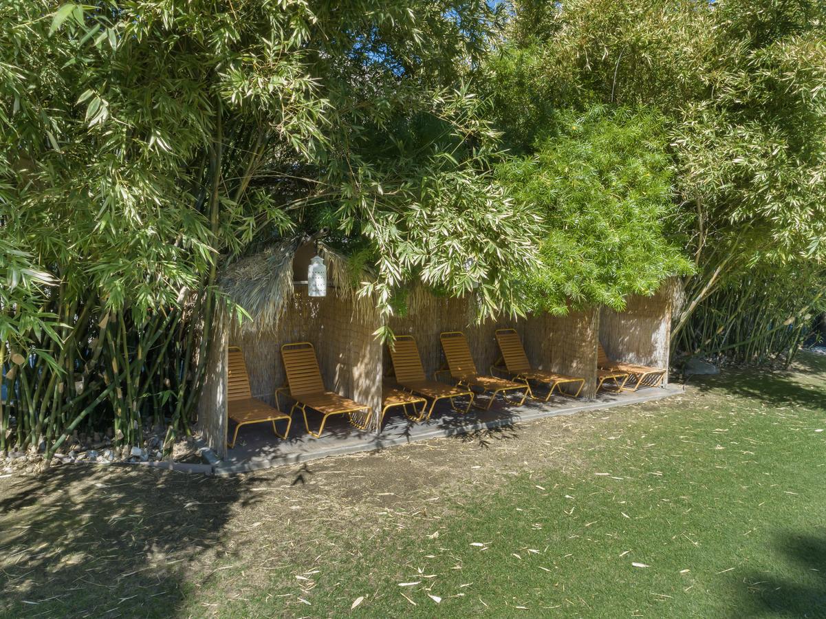 Caliente Tropics - thumb 11