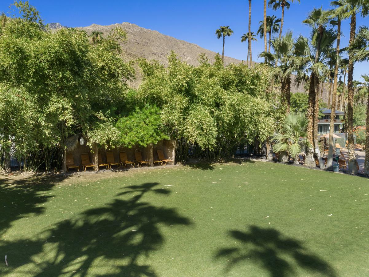 Caliente Tropics - thumb 14