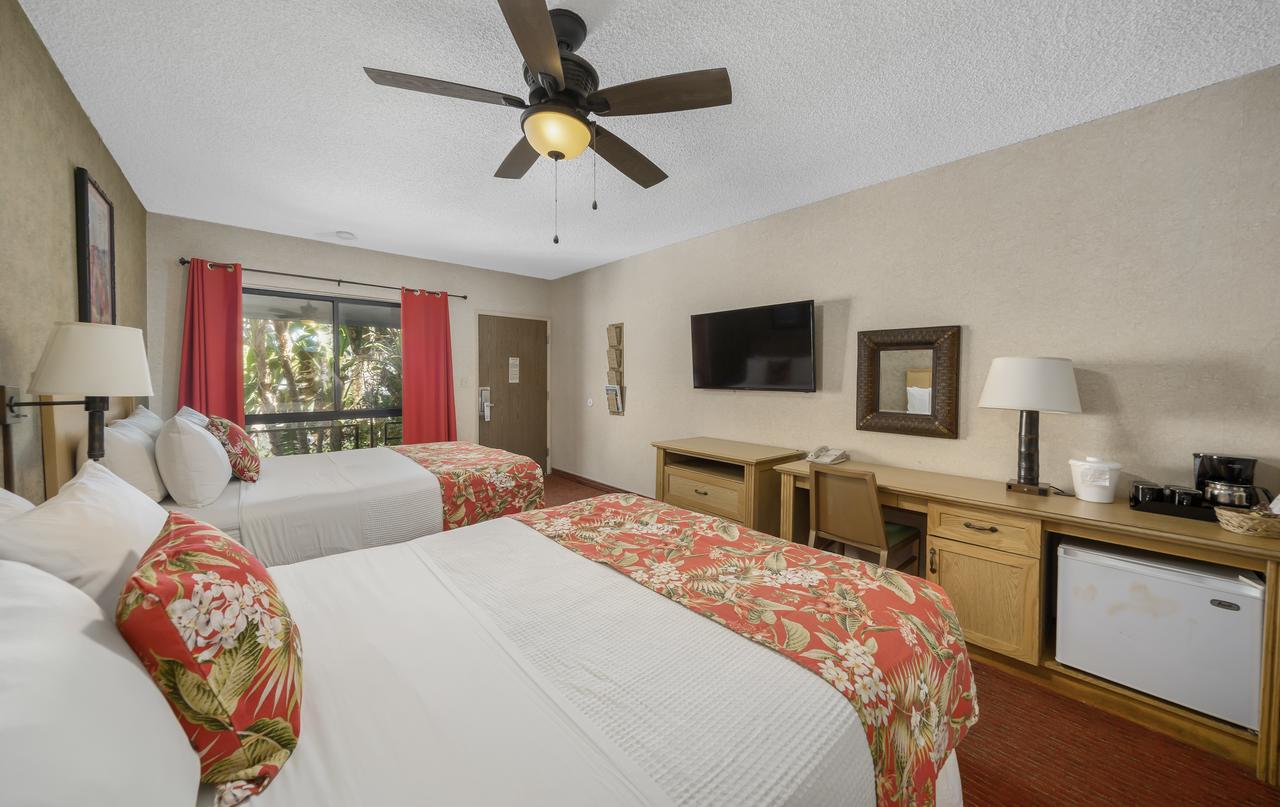 Caliente Tropics - thumb 38