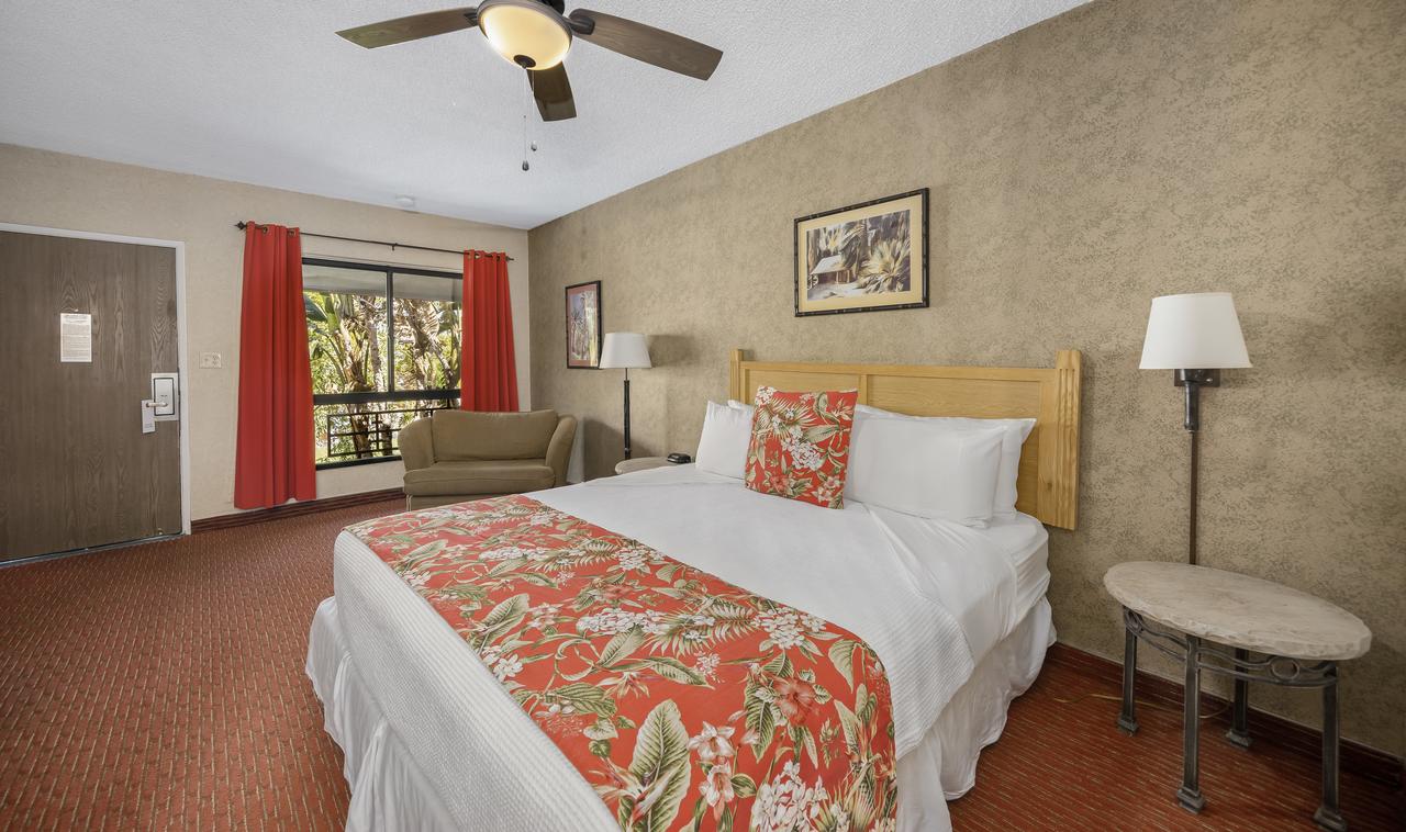 Caliente Tropics - thumb 33