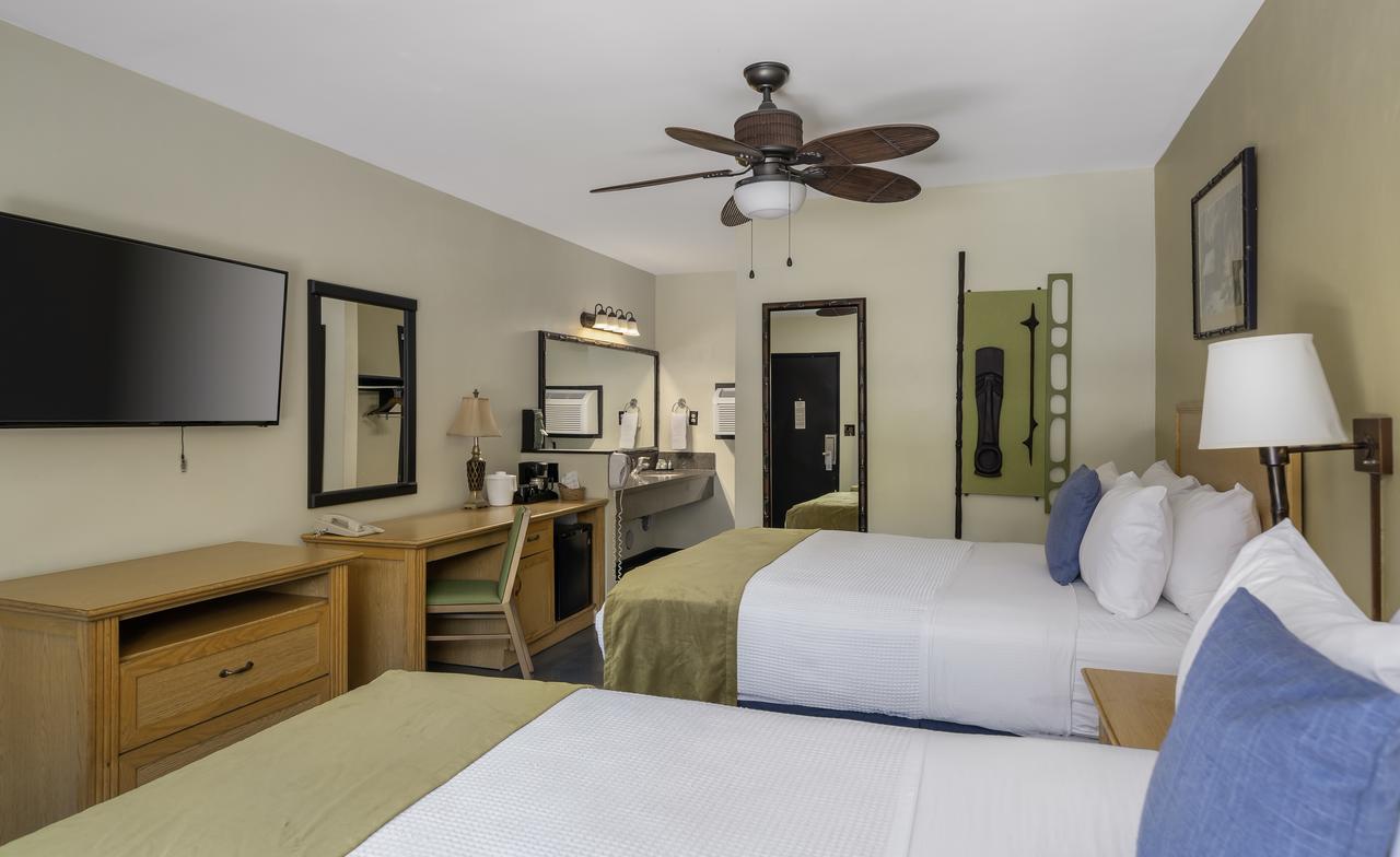 Caliente Tropics - thumb 43