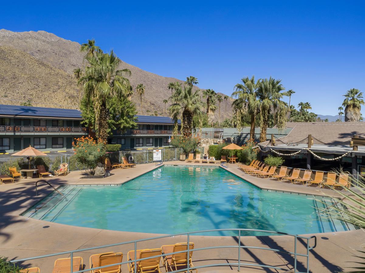 Caliente Tropics - thumb 4