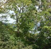 North Shore Resort on Bull Shoals Lake - Accommodation Michigan