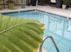 Brighton Suites Hotel